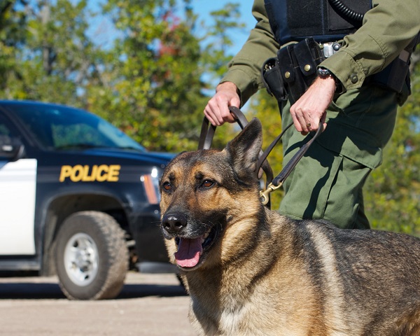 Use of Police Dogs at Traffic Stops